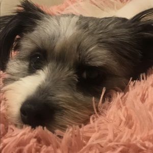 Meet your Posher, Cristina